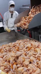 Amazing fried chicken and chicken processing plant #reelsviralfb #reelschallenge #chicken | Awesome Life