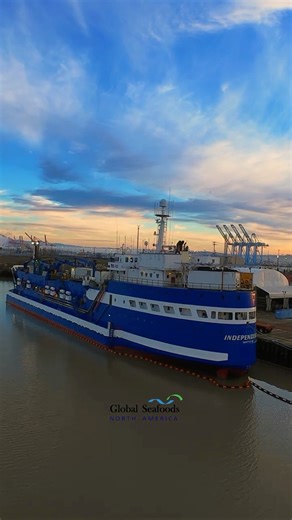 Trident Seafoods Processor Independence Docked in Tacoma Between Seasons | DJI Avata
