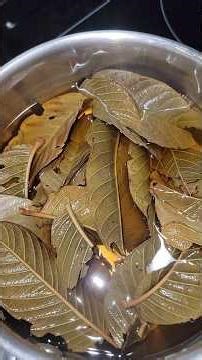 Guava Leaf Tea Benefits