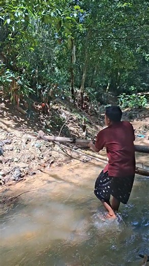 fox hunting in the river