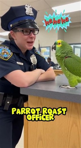 Talking Parrot Argues With Lady Police Officer 😂 | Funniest Bird Ever