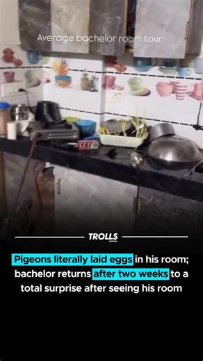 Trolls Official on Instagram: "bachelor life in one video 😭 🎥 - @riza_umar_"