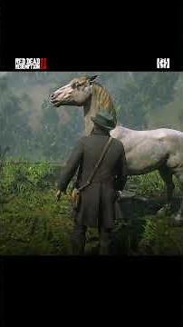 HOW TO GET THE BEST WAR HORSE | Wild Perlino Andalusian | RDR2 | THH