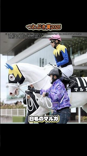 【つわぶき賞2025】白毛のマルガは3着も手応えあり！ #shorts #競馬 #馬 #マルガ #武豊 #ソダシ #ママコチャ #メイケイエール