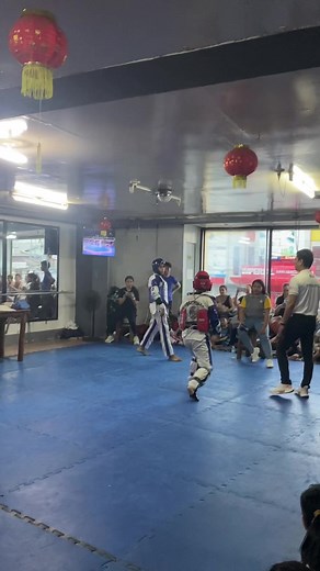 Taekwondo Training Techniques and Highlights
