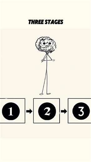 Memory Forms In Three Stages 😊 #focuseducation