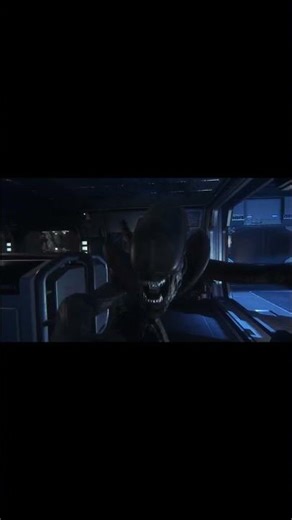 I dont support you anymore! #alienisolation #gaming #horror #scream