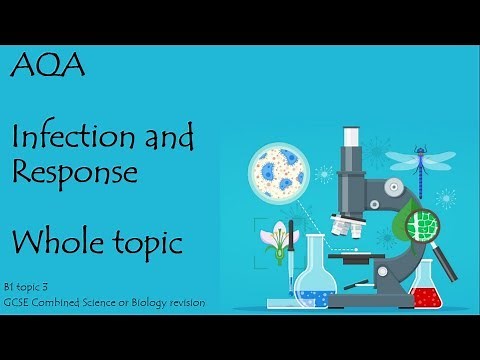 The whole of INFECTION AND RESPONSE. AQA 9-1 GCSE Biology or combined science for paper 1