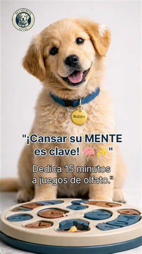 ¿Es tu perro un GENIO? 🧠🐾 #shorts #perros #mascotas