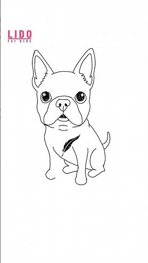 How to Draw a CUTE Boston Terrier! Easy Drawing for Kids & Beginners #lidoartworks