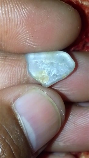 kadurata gams0756572983 මේ තියෙන්නේ ගෙවුඩ ගලක් බලන්න ඉගෙන ගන්න ජිවිතය දිනන්න