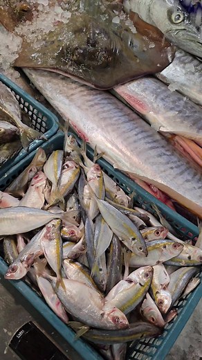 Fresh Seafood Delivered Fresh to Your Door