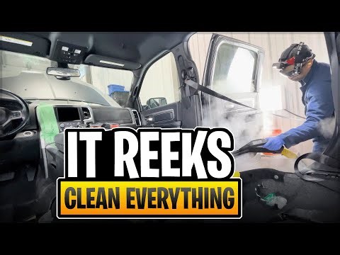 Rotten Animal Smell Owner Can't Handle It Anymore. Causing Medical Issues