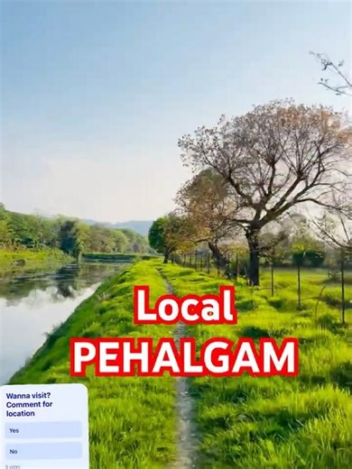 🙀Kashmir he kya??? #naturelovers #greenery