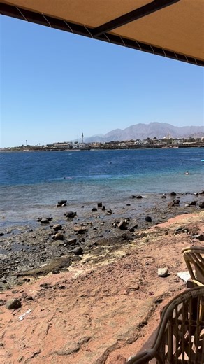 Our Divemaster trainees are putting their skills to the test with natural navigation on the stunning Lighthouse Reef! Learning to navigate underwater is a core skill that builds your awareness, precision, and confidence underwater. 📩 Looking to book courses or fun dives in Dahab? Message us today! #dahab #redsea #dive #scubadiver #egyptdiving #ssidiving #scubadive #egypt #diving #dahabdiving #divemastertraining #divemastercourse #ssidivemaster | Octopus divers - The dive school in Dahab