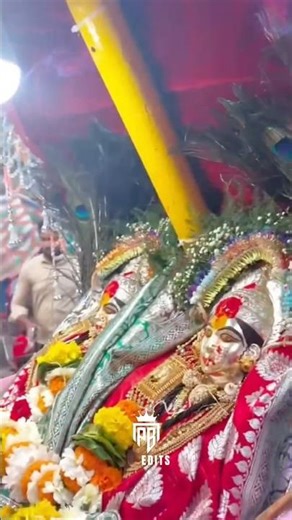 Ekvira Aai Palkhi Sohala. #panvelkoliwada #aaiekvirasong #viral #2026