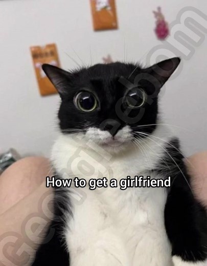How to Get a Girlfriend: Step-by-Step Guide