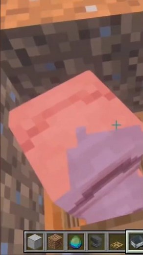 How To Get Armadillos in Composter FOR XP FARM