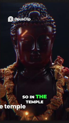 Beyond the Physical: Exploring Life's Peripheries