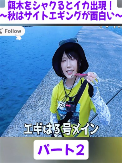 餌木をシャクるとイカ出現！〜秋はサイトエギングが面白い〜パート2#釣り女子jp #釣り #釣り好き #釣り動画 #川釣り #RiverFishing #FishingGirl #Fishing #fyp #tiktokjapan #viral #foryoupage❤️❤️