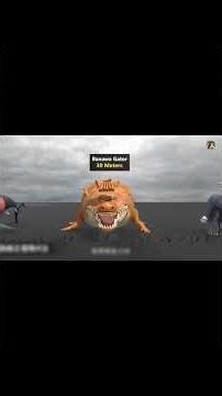 Las criaturas más gigantes de One Piece comparadas surge pregunta: ¿Existe algo todavía más grande?