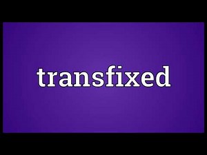 Transfixed Meaning