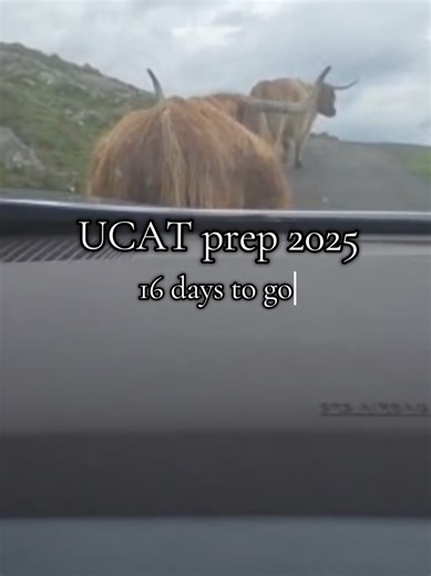 UCAT Prep Tips: Boost Your Scores in 16 Days