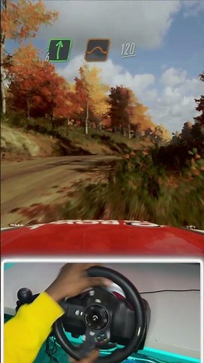 Always Listen to Your Co Driver Pt 2 | Dirt Rally 2.0 | Logitech G920 Gameplay #shorts #gaming #cars