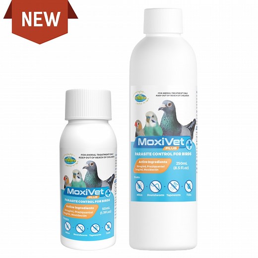 MoxiVet Plus - Moxidectin   Praziquantel Parasite Control for Birds