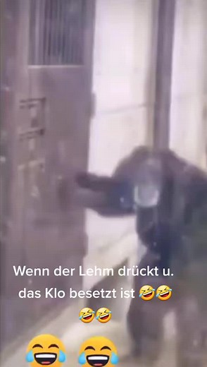 #🤣🤣🤣 #viral #fy #foryoupage #spassmusssein