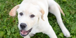 Resolutions are hard. SMART goals are better.