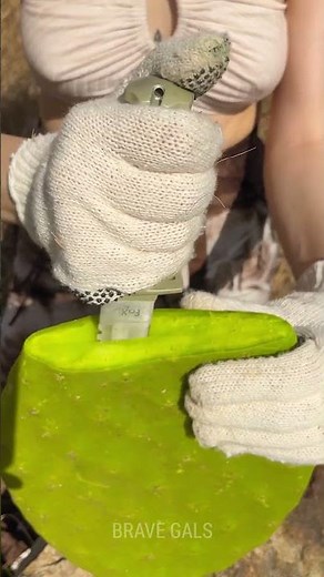 Desert Survival Hack: Create a Cactus Water FLASK! 🌵