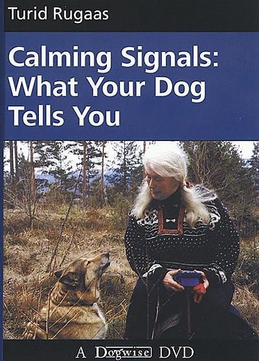 Watch Calming Signals: What Your Dog Tells You - Turid Rugaas Online | Vimeo On Demand