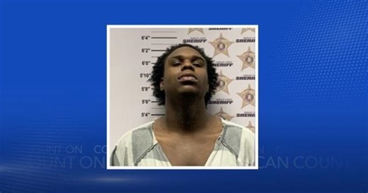 Decatur Police pursuit of 'Lucky' suspect ends in water hazard at Point Mallard Golf Course