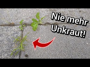 Unkrautfrei: Wie du Unkraut dauerhaft entfernen kannst!