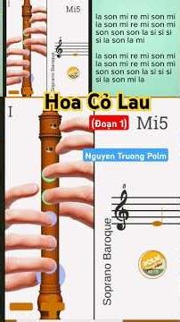 Cách thổi sáo recorder bài Hoa Cỏ Lau (Đoạn 1) - Nguyen Truong Polm #nguyentruongpolm #thoisao