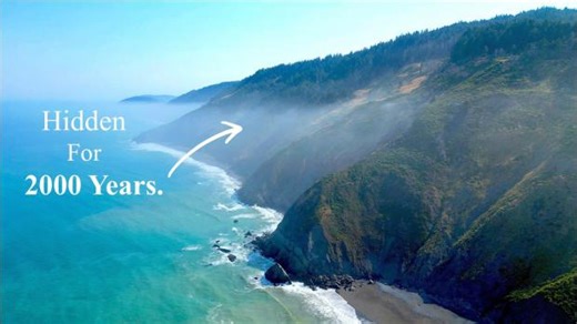 I Found Giant Trees on Google Earth