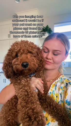 Funny Dog Sleeping Photos: The Ultimate Collection