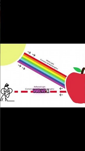 Tip para ropa blanca