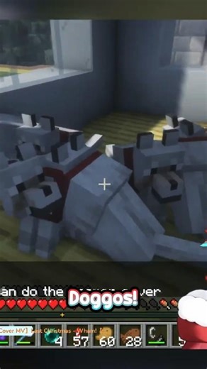 My chat adopted too many dogs