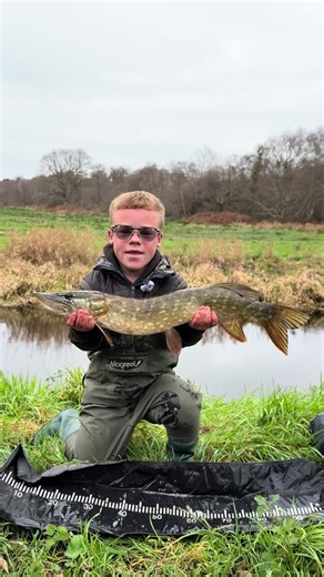 What a way to end the year 🤩💪 #pike #fishing #pikefishing #catchandrelease #perch