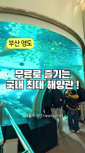 부산 국립해양박물관: 가족과 함께하는 바다 여행