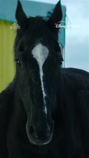 Camp Half-Blood Needs Saving: Percy Jackson Season 2 Finale