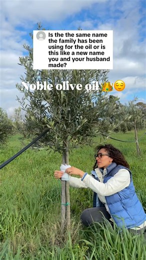 Noble olive oil 👑🫒