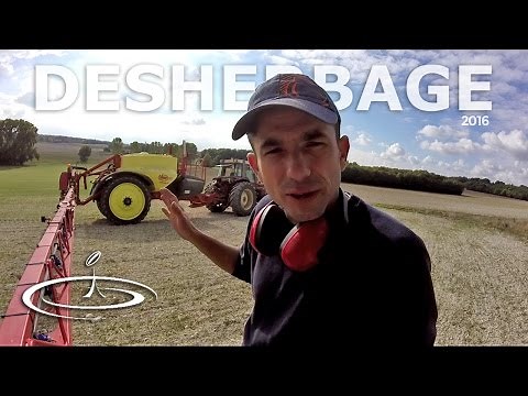 Désherbage des repousses de blé dans le colza - 2016