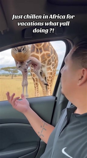 Africa #afambobie #bussin #giraffe #relatablevideos #fypシ゚viral