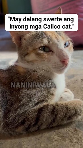 101K views · 4.4K reactions | Ayon sa matandang paniniwala, ang...