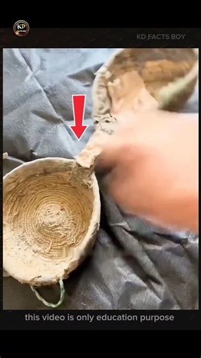 amazing donkey eye blinders mask 🎭