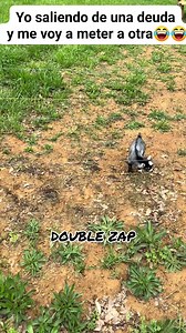 Yo saliendo de una deuda y me voy a meter a otra😂😂 #viralreelschallenge #reelsviralシ #fypシ゚viralシ #virals | Limber Alex Li