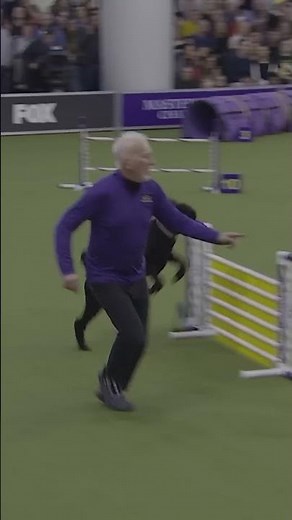 Kai the #StandardPoodle steals the show 🐩✨